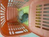 Baby bunny